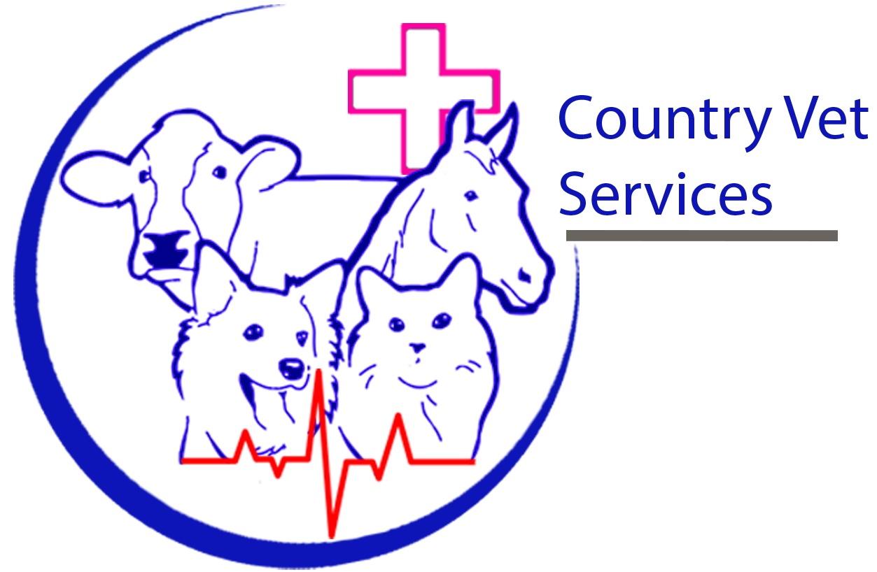 Country Vet Services